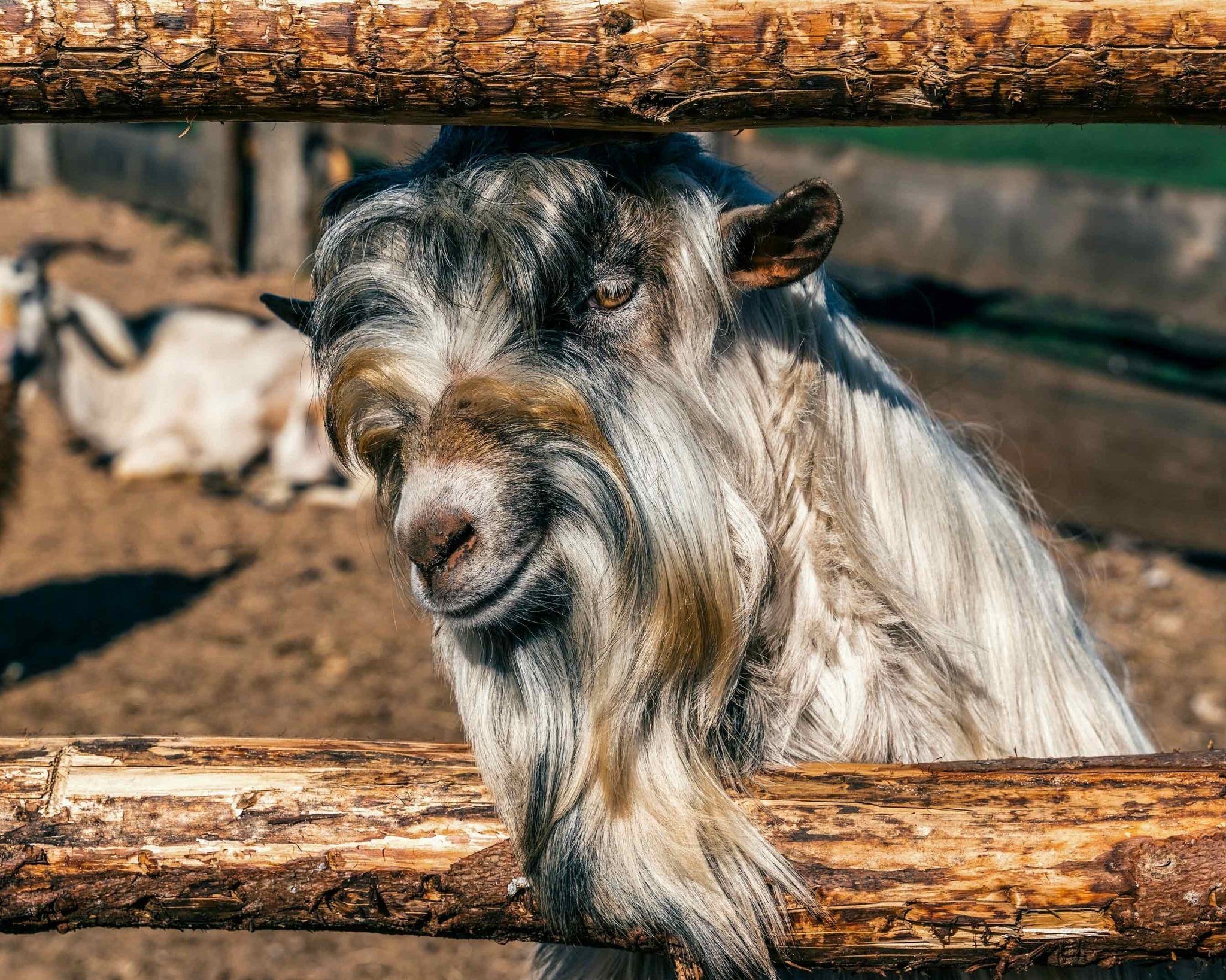 How to Wash Cashmere at Home? - Gordina