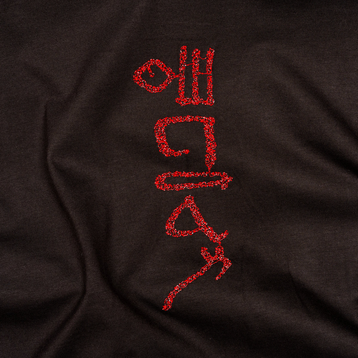 Detailed view of hieroglyphic-style embroidery on The Papyrus coal T-shirt